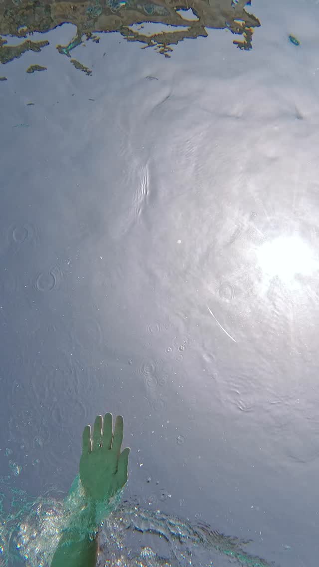 This is endless summer at Hotel Casa del Mar — the secret season of luxury.

#HotelCasadelMar #ThePreferredLife