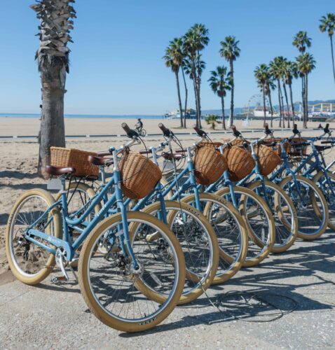 Row of light blue rental bicycles with baskets parked near a beach and palm trees.